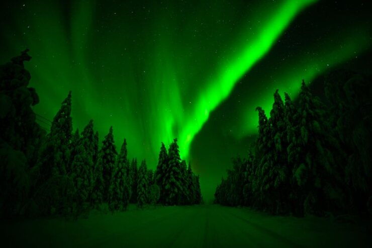 Rovaniemi: Northern Lights Snowmobile Tour - Experience Highlights