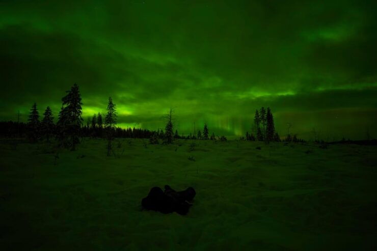 Rovaniemi: Northern Lights Tour at the Campfire - Itinerary Highlights
