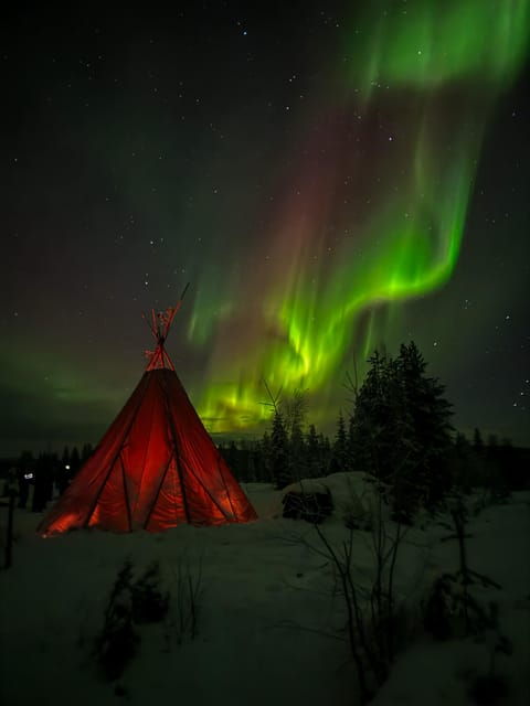 Rovaniemi: Northern Lights Tour at the Campfire - Amenities Provided