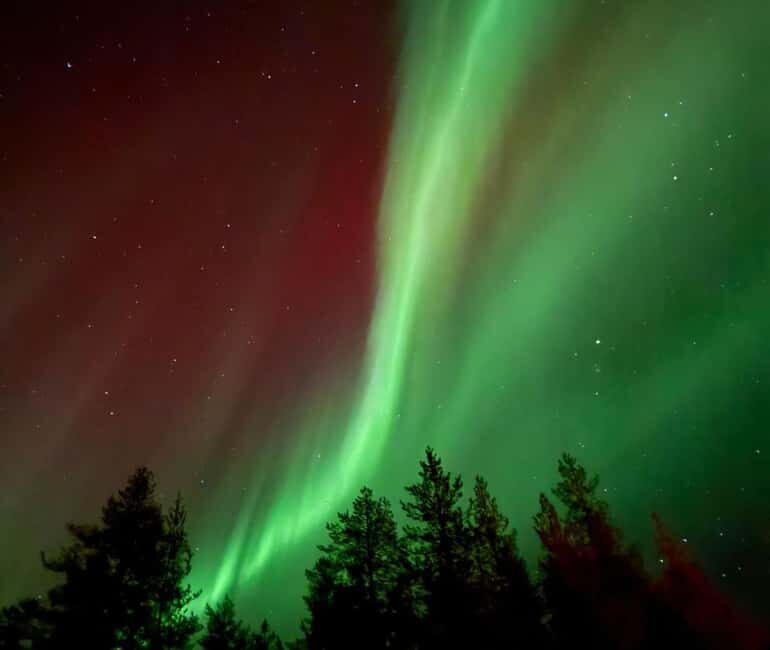 Rovaniemi: Northern Lights Tour - Aurora Viewing Guaranteed - An In-Depth Look at the Rovaniemi Northern Lights Tour