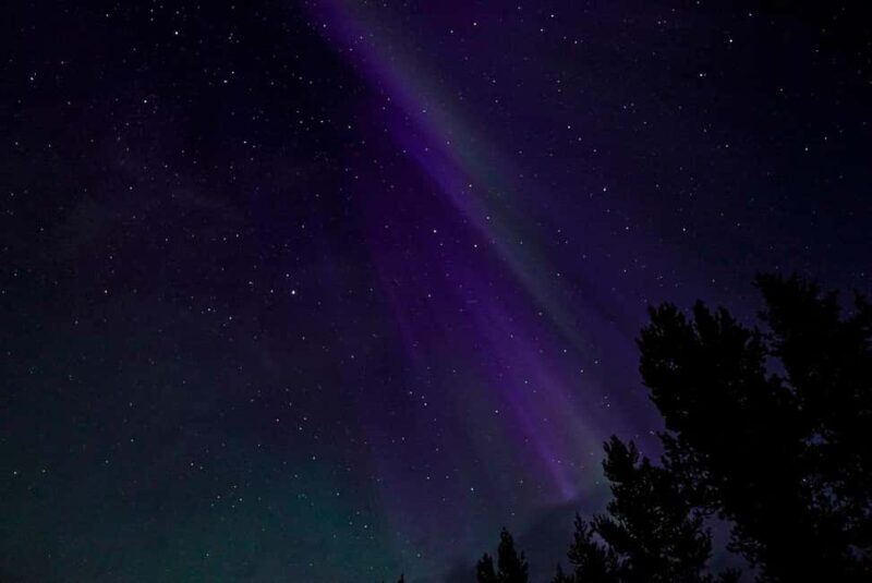 Rovaniemi: Northern Lights Tour - Aurora Viewing Guaranteed - The Sum Up