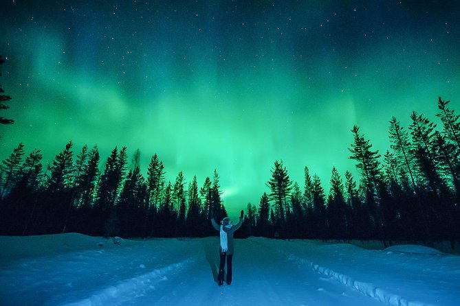 Rovaniemi Northern Lights Wilderness Guided Small-Group Tour - Tour Highlights