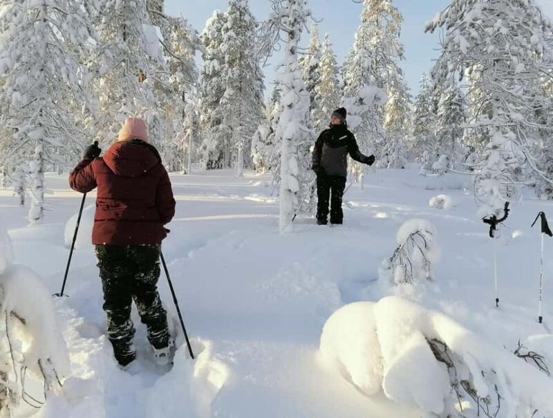 Rovaniemi: Private 3h Snowshoeing hike - Good To Know
