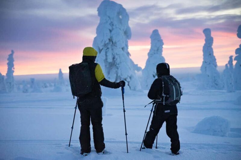 Rovaniemi: Private 3h Snowshoeing hike - An In-Depth Look at the Rovaniemi Snowshoeing Experience