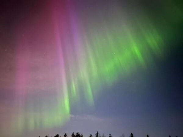 Rovaniemi: Private Aurora Borealis Car Tour With Hot Drinks - Frequently Asked Questions