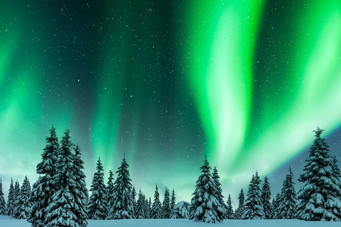 Rovaniemi: Private Aurora Hunting Tour - Traveler Restrictions and Group Size