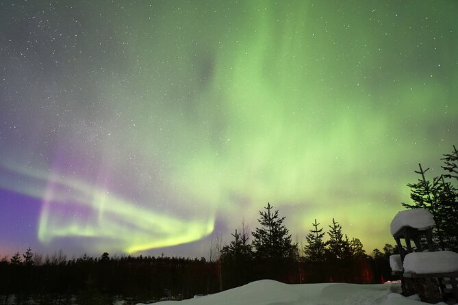 Rovaniemi: Private Aurora Hunting Tour - Reservation and Pickup Information