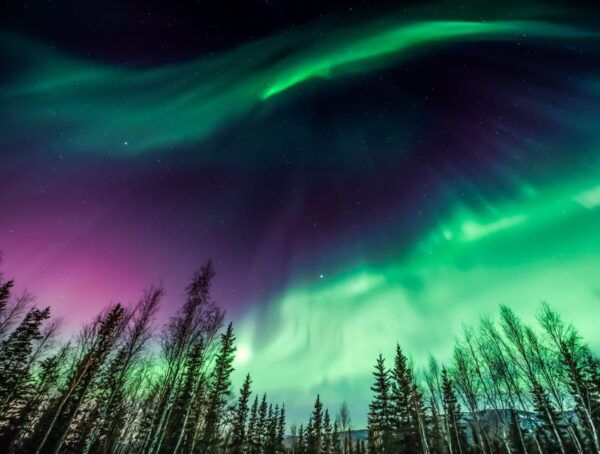 Rovaniemi: Private Aurora Hunting Tour With Meal - Clothing Recommendations