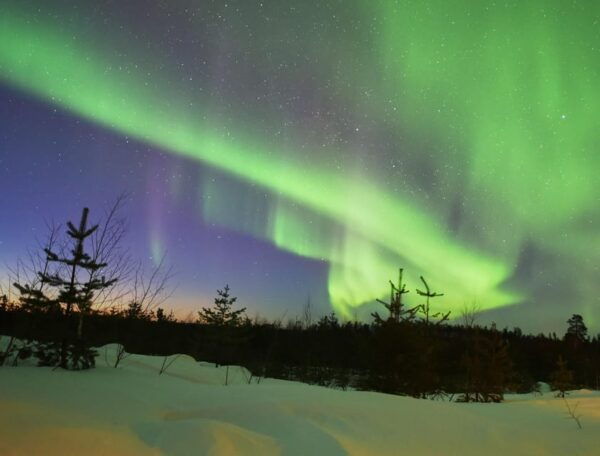 Rovaniemi: Private Aurora Hunting Tour With Meal - Booking and Cancellation