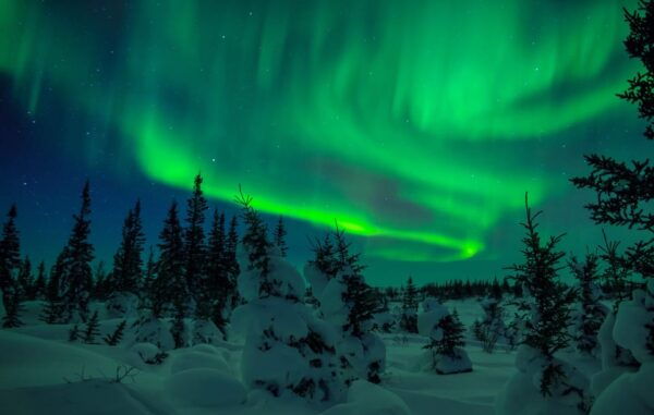 Rovaniemi: Private Aurora Hunting Tour With Meal - Booking Details