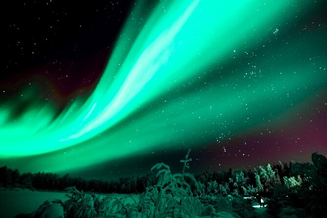 Rovaniemi: Private Aurora Tour With Guaranteed Sightings - Tour Duration