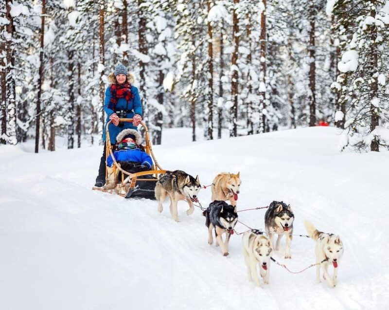 Rovaniemi: Private Santa Claus Village Tour - Final Thoughts