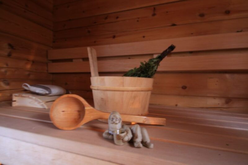 Rovaniemi: Private Sauna, Jacuzzi and Dinner - Final Thoughts: Is It Worth It?