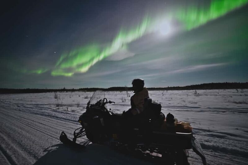 Rovaniemi: Private Snowmobile Trip With Local Guide - Convenient Pickup and Location Options