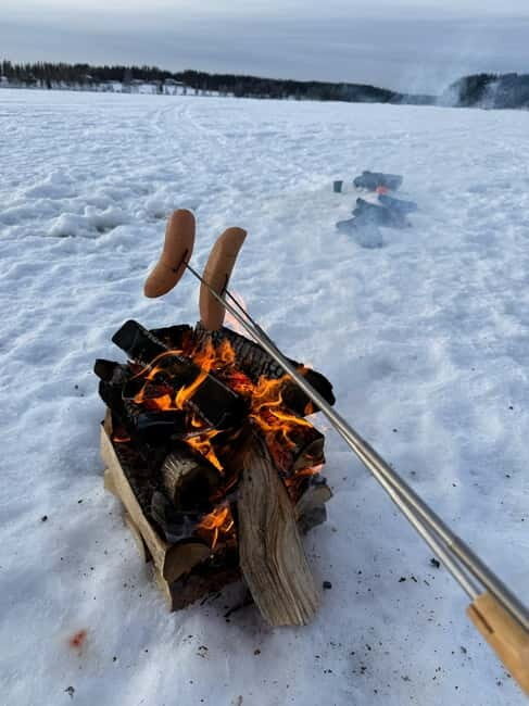 Rovaniemi: Private Snowmobile Trip With Local Guide - The Snowmobile Experience