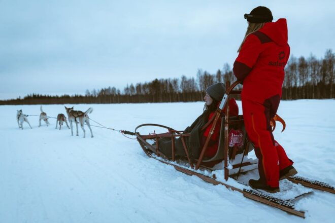 Rovaniemi: Pure Christmas Joy Half-Day Tour - Inclusions and Benefits