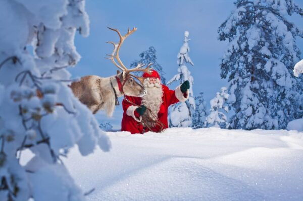 Rovaniemi: Pure Christmas Joy Half-Day Tour - Tips for Your Visit