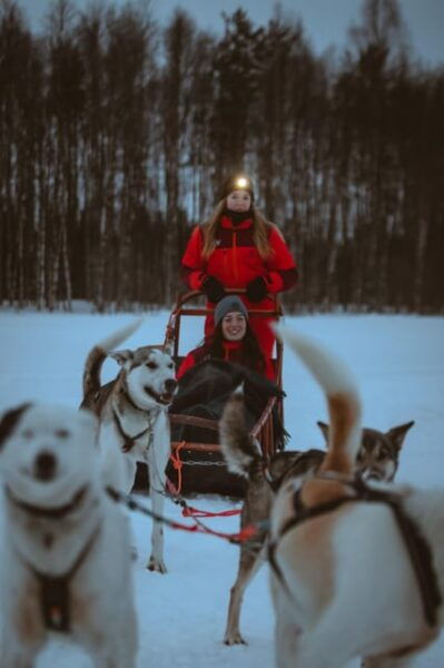 Rovaniemi: Pure Christmas Joy Half-Day Tour - Booking Information