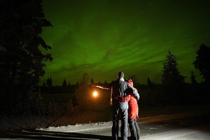 Rovaniemi RealNorthern Lights Photo Hunting - Final Thoughts: Who Should Book This Tour?
