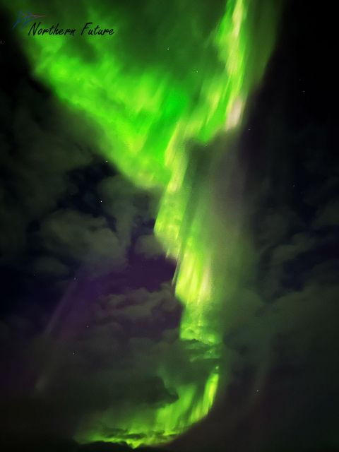 Rovaniemi: Reindeer Activity & Aurora BBQ Tour! - Tour Highlights