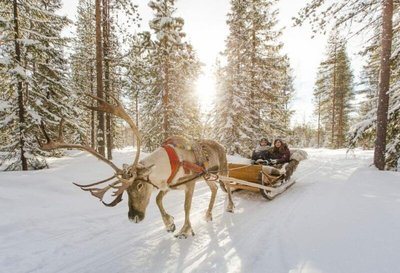Rovaniemi: Reindeer Farm Visit and Sleigh Ride with transfer - Warmth and Snacks