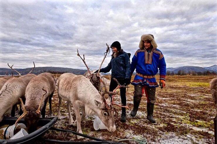 Rovaniemi: Reindeer Farm Visit in the Summer - Good To Know