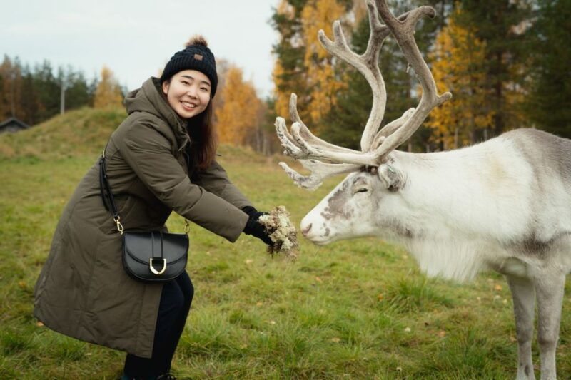 Rovaniemi: Reindeer Farm Visit with Photographer - The Itinerary Breakdown