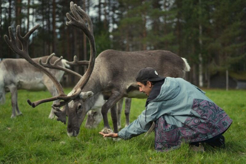 Rovaniemi: Reindeer Farm Visit with Photographer - Accessibility and Practical Tips