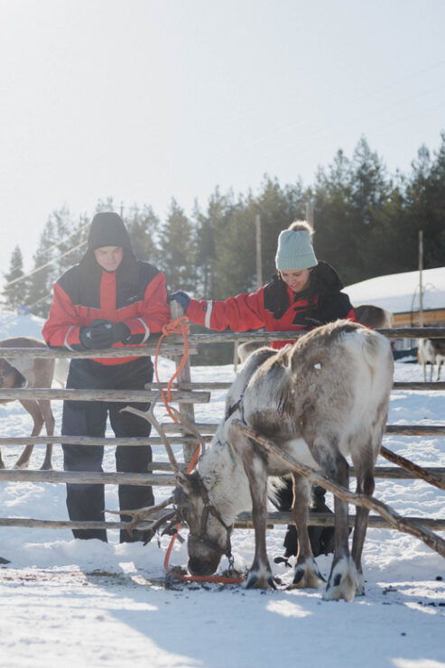 Rovaniemi: Reindeer Farm Visit With Sleigh Ride - Detailed Itinerary