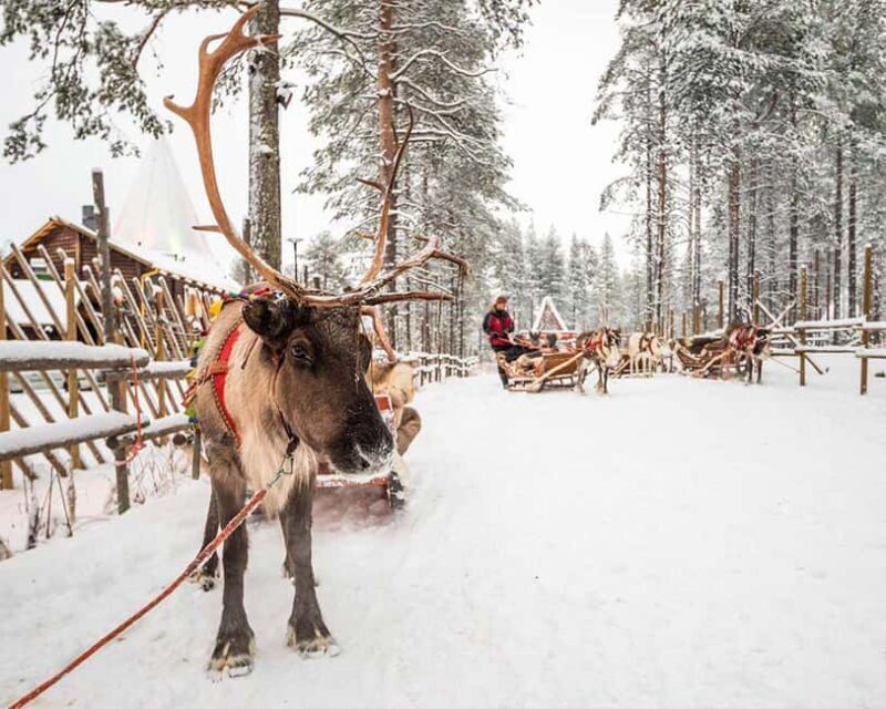 Rovaniemi: Reindeer & Husky Ride with Santa Claus Village - The Sum Up
