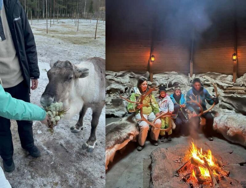 Rovaniemi: Reindeer & Husky Safari with Lunch - Good To Know