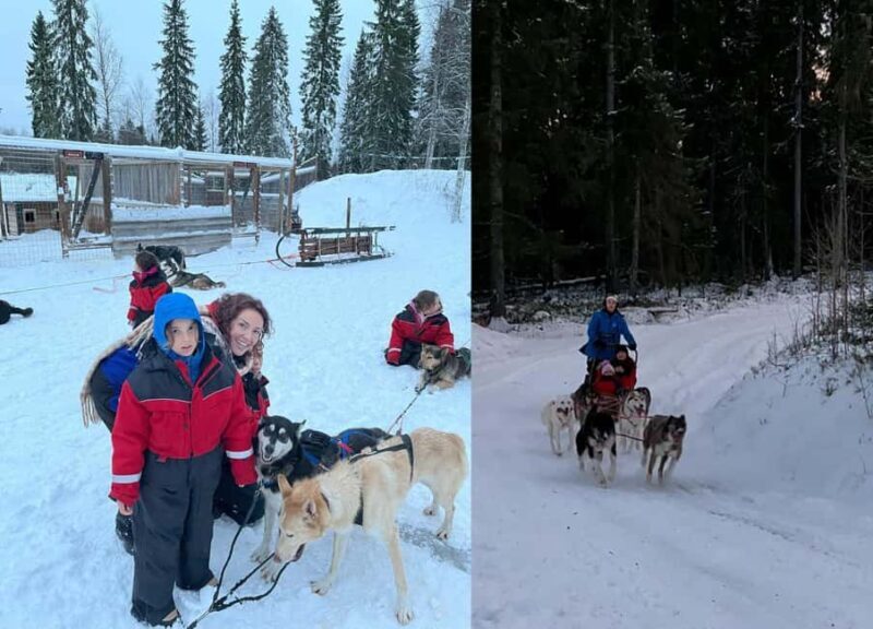 Rovaniemi: Reindeer & Husky Safari with Lunch - Who Is This Tour Best For?