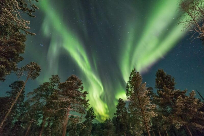 Rovaniemi: Reindeer Safari and Northern Lights Tour - An In-Depth Look at the Rovaniemi Reindeer Safari and Northern Lights Tour