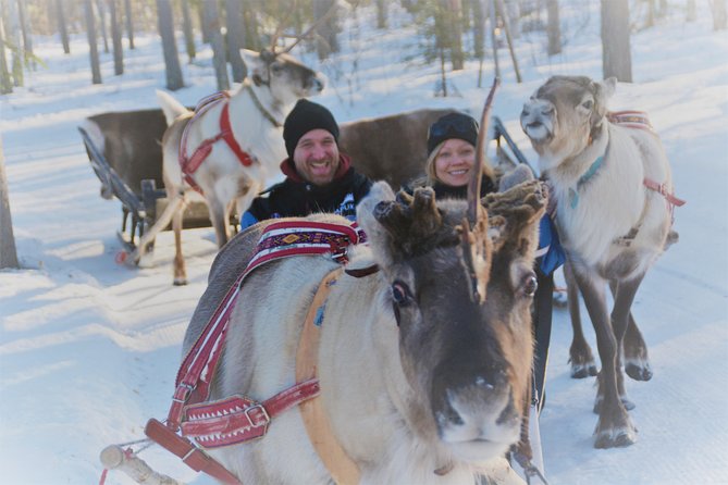 Rovaniemi Reindeer Sleigh Ride - Traditional Sami Culture Experience