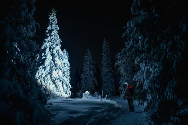 Rovaniemi: Riisitunturi National Park Night Photography Tour - Rovaniemi: Riisitunturi National Park Night Photography Tour