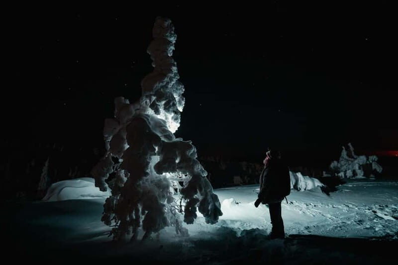 Rovaniemi: Riisitunturi National Park Night Photography Tour - What’s Included and What to Bring