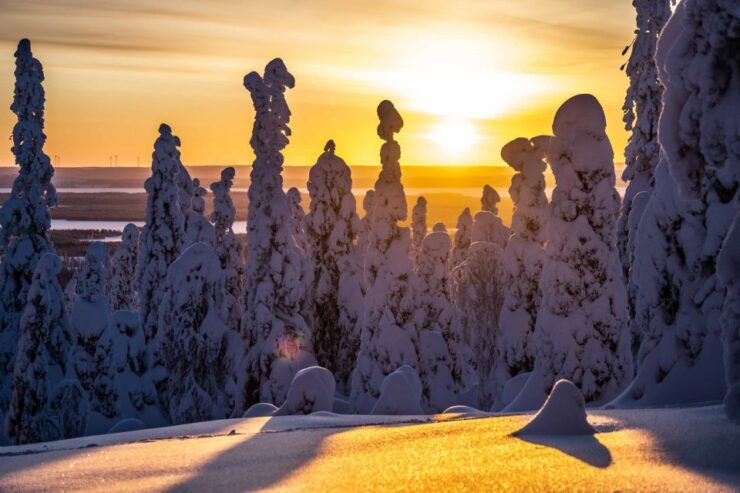 Rovaniemi: Riisitunturi Wilderness Adventure - Adventure Experience