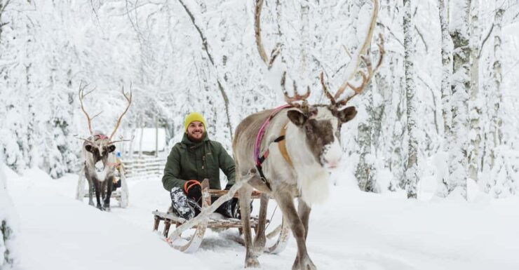 Rovaniemi: Saami Reindeer Farm Visit & Sleigh Ride - Good To Know