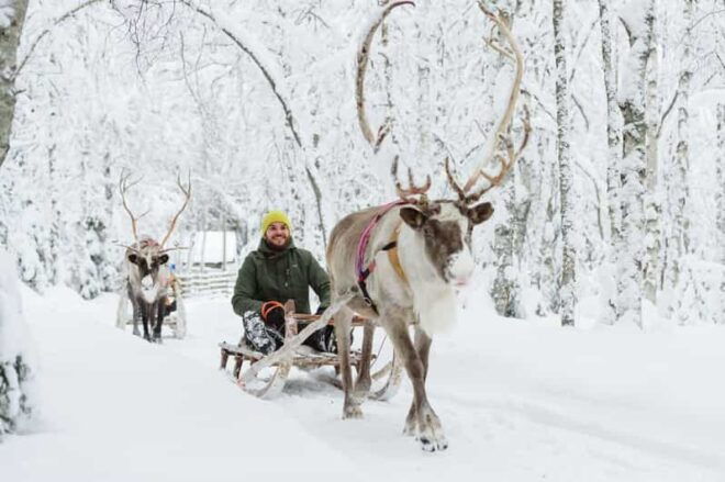 Rovaniemi: Saami Reindeer Farm Visit & Sleigh Ride - Whats Included in the Tour