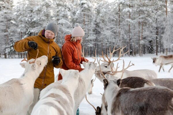 Rovaniemi: Saami Reindeer Farm Visit & Sleigh Ride - Nearby Attractions to Explore