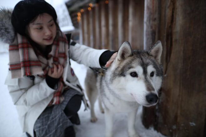 Rovaniemi: Santa Claus Village Tour Huskies & Reindeer Ride - Guide and Language