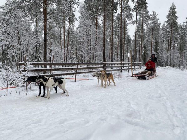 Rovaniemi: Santa Claus Village Tour Huskies & Reindeer Ride - Seasonal Activities and Availability