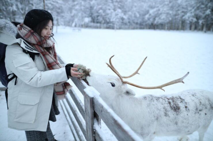 Rovaniemi: Santa Claus Village Tour & Reindeer & Husky Ride - Good To Know