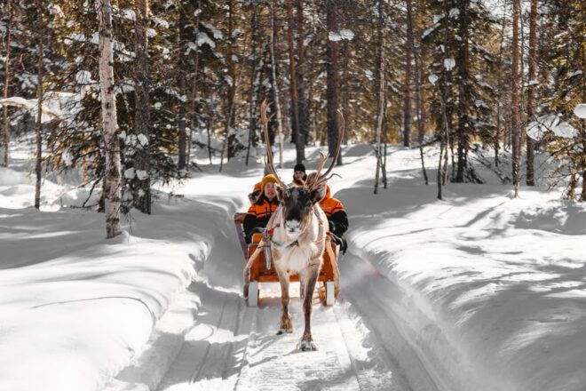 Rovaniemi: Santa Claus Village Tour, Reindeer Ride and Lunch - Itinerary Details