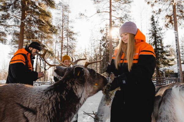 Rovaniemi: Santa Claus Village Tour, Reindeer Ride and Lunch - Booking Information and Policies