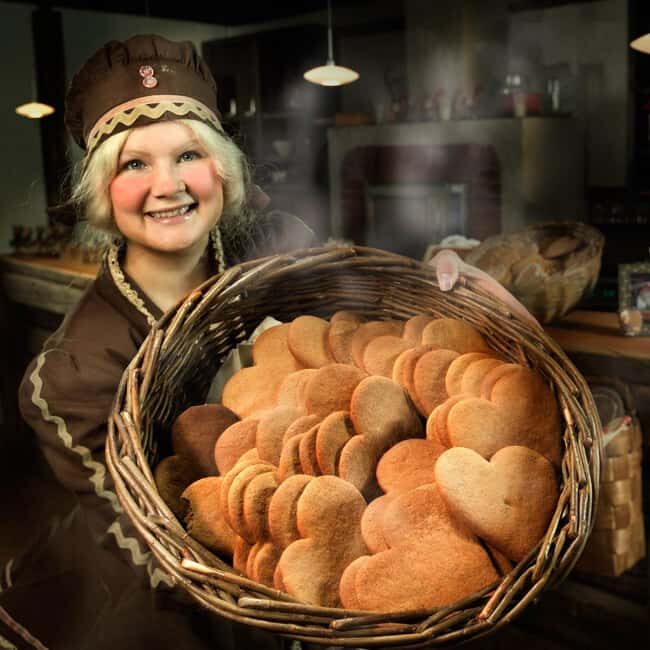 Rovaniemi: SantaPark and Santa Claus Village Day Tour - The Sum Up: Who Will Love This Tour?