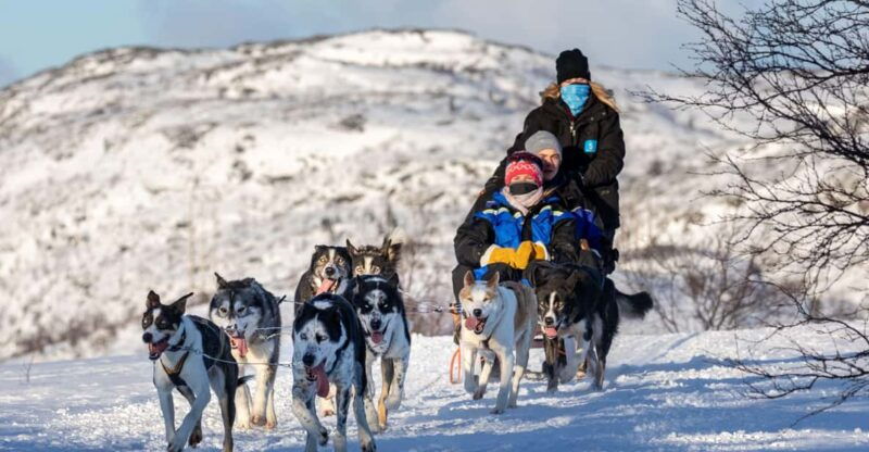 Rovaniemi: Santa's Village, Husky, & Reindeer Sled Ride - Exploring Rovaniemi’s Santa Claus Village