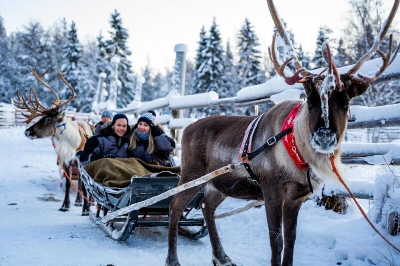 Rovaniemi: Santa's Village, Husky, & Reindeer Sled Ride - The Sum Up