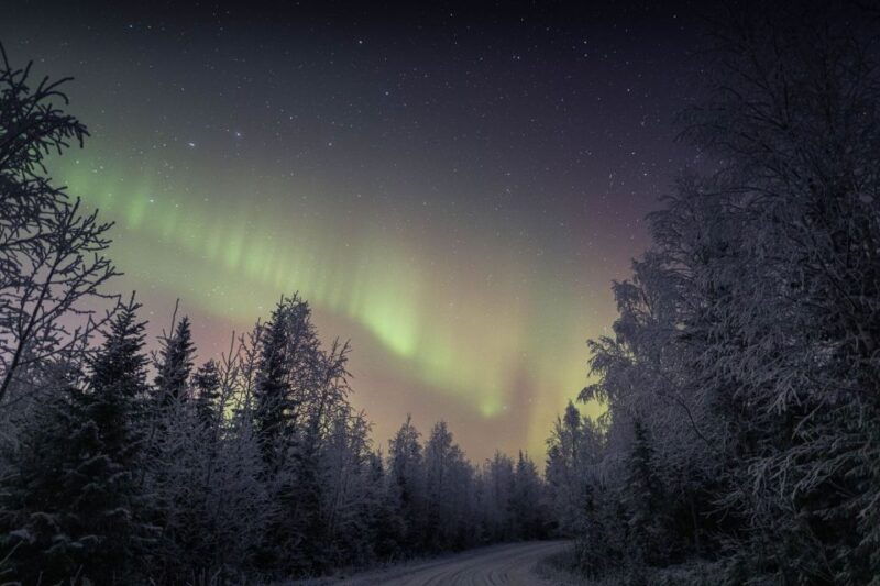 Rovaniemi: Sauna & Ice Swimming Tour with Dinner and Aurora - Final Thoughts: Who Will Love This Tour?