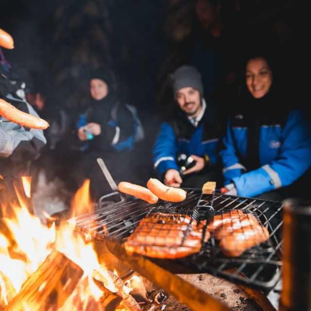 Rovaniemi: Search for Northern Lights Snowmobiling Trip - Booking Details
